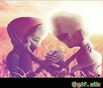 Sunset Embrace Silhouette meme sticker