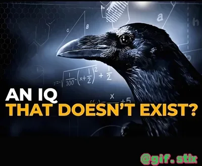 An IQ That Doesnt Exist meme sticker