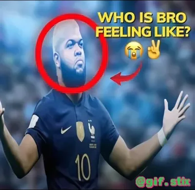 Who Is Bro Feeling Like meme sticker