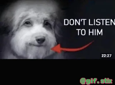 Dont Listen To Him Dog meme sticker