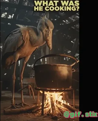 What Was He Cooking Bird meme sticker