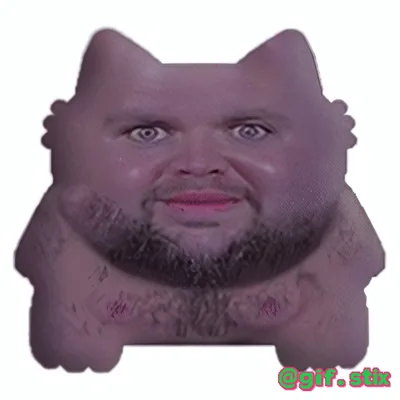 Cat Body Beard Face meme sticker