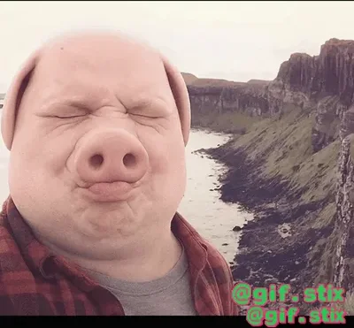 Pig Man Squint meme sticker
