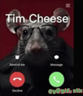 Rat Is Calling meme sticker